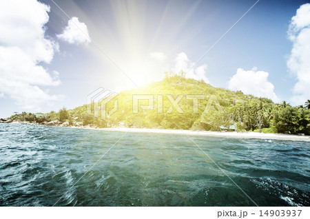 White coral sand on tropical beach. La Digue 14903937