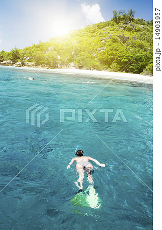 A snorkeler at an island coral reef with turtle. A snorkeler at an island coral reef with turtle. 14903957