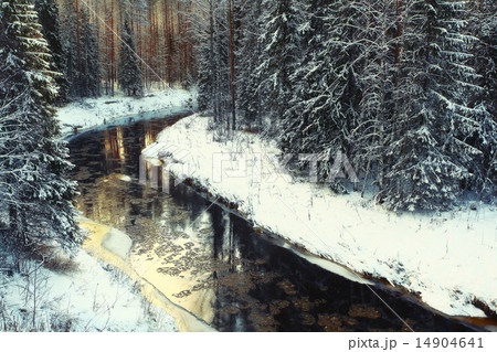 cold winter forest landscape snow cold winter forest landscape snow 14904641