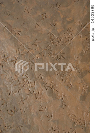 texture of dry land, drought 14905399
