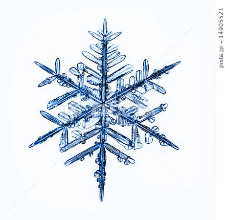 natural crystal snowflake macro 14905521