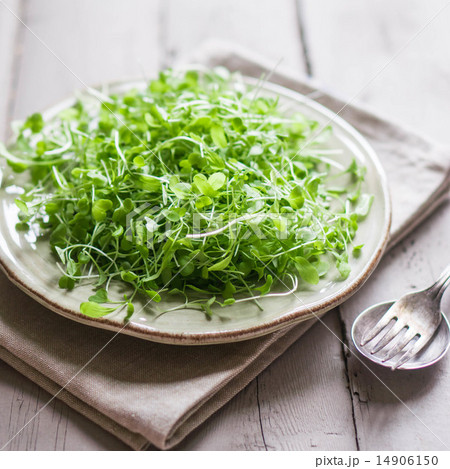 Raw sprouts(microgreens) on wooden background Raw sprouts(microgreens) on wooden background 14906150