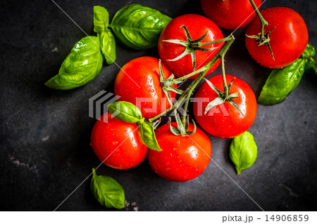 Cherry tomatoes on the vine 14906859