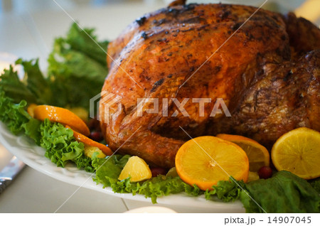 Turkey with leaves and oranges for christmas and thanksgiving Turkey with leaves and oranges for christmas and thanksgiving 14907045