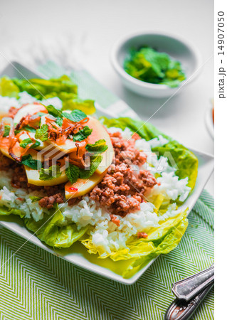 Meat with rice and papaya 14907050