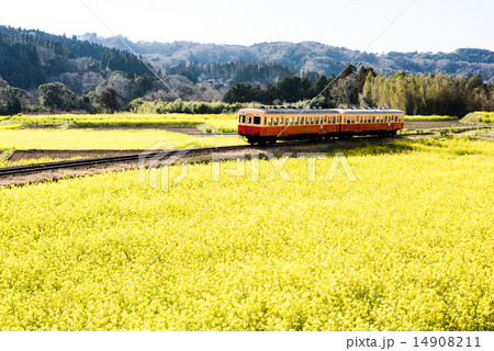 小湊鉄道 小湊鉄道 14908211