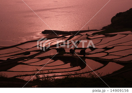 夕やけ 14909156