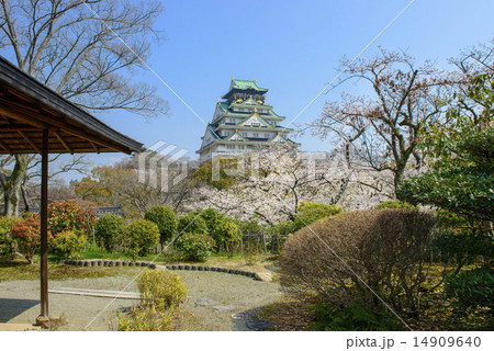 春の大阪城西の丸庭園 春の大阪城西の丸庭園 14909640
