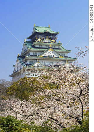 春の大阪城 14909641
