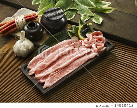 Korean Style Pork Barbecue Korean Style Pork Barbecue 14910412