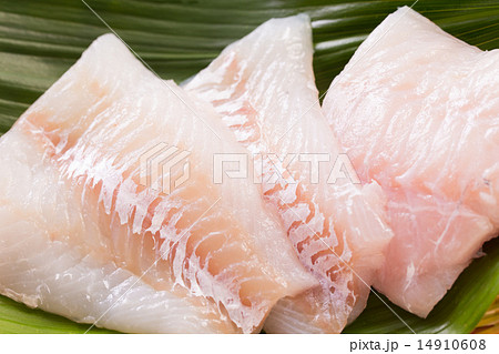 たら たら 14910608