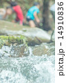 川遊び 川遊び 14910836