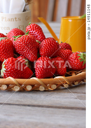 紅ほっぺ 14911148