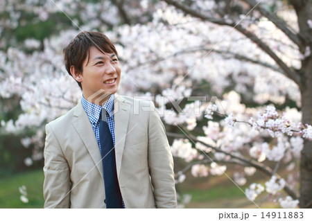 男性1人 (ビジカジ ビジネスカジュアル 仕事 桜 春 新生活 会社員 新学期 ソメイヨシノ) 14911883