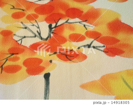 紅葉 14918305