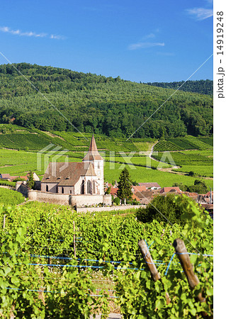 Hunawihr, Alsace, France 14919248