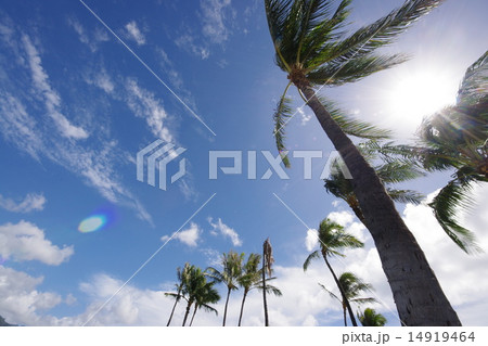 青空 14919464