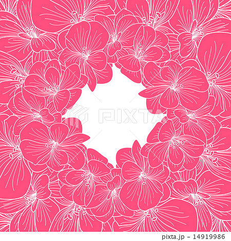 Pink and white orchid frame 14919986
