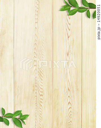 ナチュラル背景 木 葉のイラスト素材 14920051 Pixta