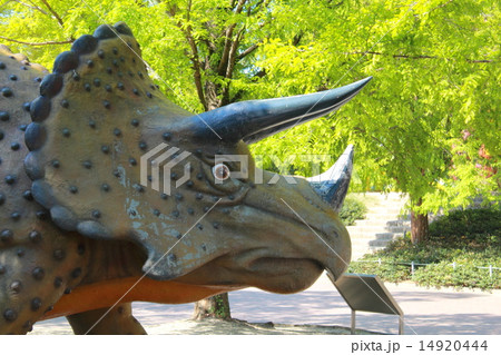 トリケラトプス 14920444