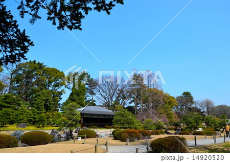二条城 清流園 二条城 清流園 14920520