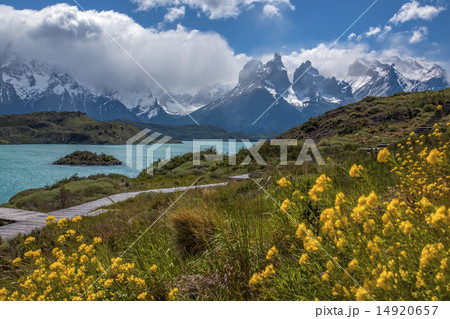 Torres del Paine - Patagonia - Chile Torres del Paine - Patagonia - Chile 14920657