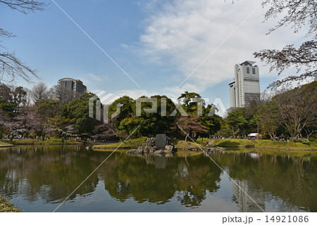 小石川庭園 小石川庭園 14921086