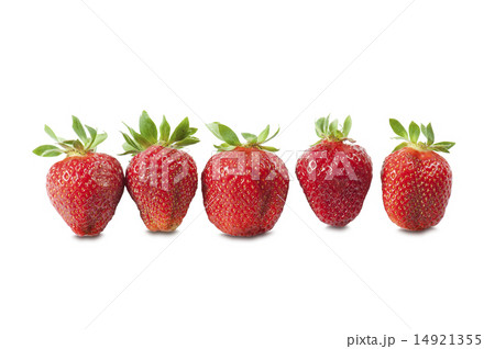 strawberry strawberry 14921355