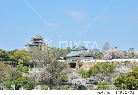 岡山城桜の季節 14921703