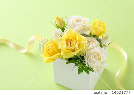 花の贈り物 花の贈り物 14921777