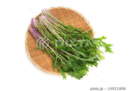 紅水菜 紅水菜 14921806