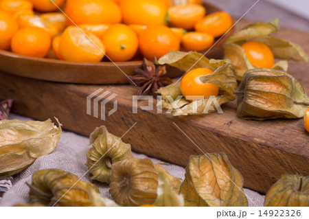 physalis and kumquat 14922326