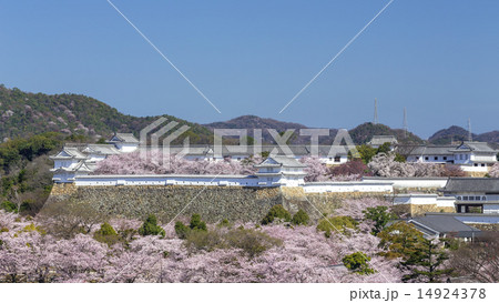 姫路城・打込ハギの石垣 姫路城・打込ハギの石垣 14924378