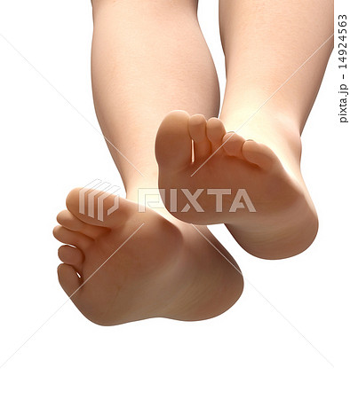 女性の素足 お手入れ用品用イメージイラスト 女性の素足 お手入れ用品用イメージイラスト 14924563