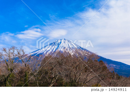 森と富士山 森と富士山 14924911