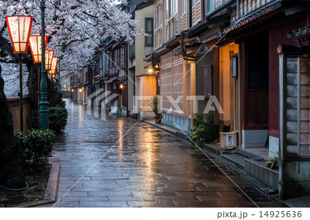 主計町茶屋街の夜桜 14925636