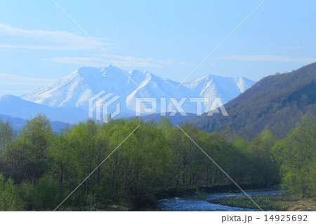 新緑と雪山 14925692