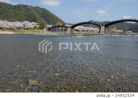 錦帯橋(春、桜満開) 錦帯橋(春、桜満開) 14932534