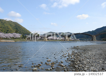 錦帯橋(春、桜満開) 錦帯橋(春、桜満開) 14932537