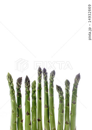 アスパラガス 14932669