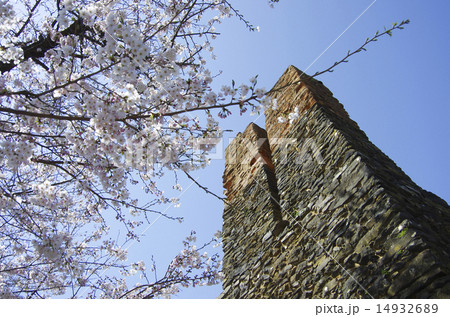 反射炉と桜 世界文化遺産 反射炉と桜 世界文化遺産 14932689
