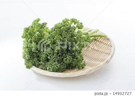パセリ 14932727
