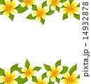 Decoration frame made in frangipani (plumeria) 14932878