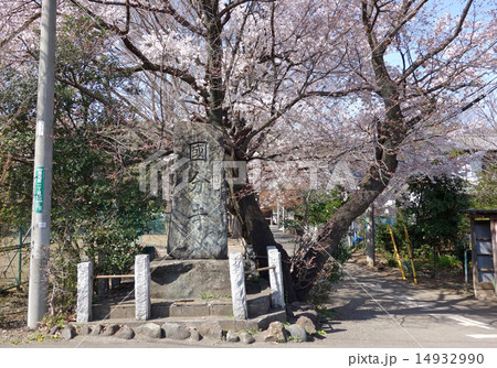 武蔵国分寺の参道入口 14932990