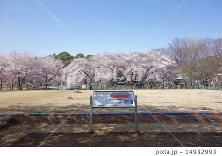 武蔵国分寺講堂跡 14932993