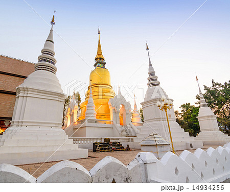 The golden pagoda at Suan Dok Temple , Thailand. 14934256