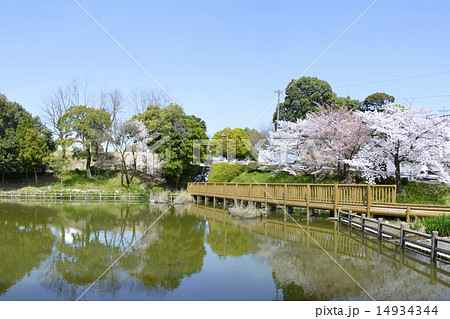 奴国の丘歴史公園 14934344