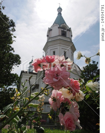 ピンクのバラと函館ハリストス正教会 ピンクのバラと函館ハリストス正教会 14934791