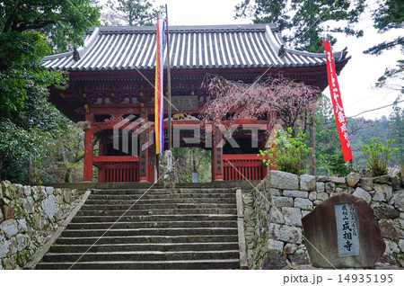 成相寺山門 14935195