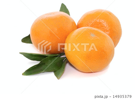 tangerine orange 14935379